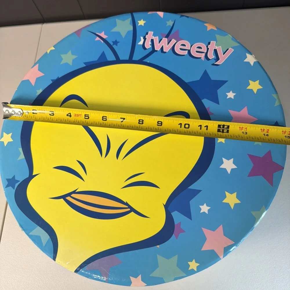 Vintage Tweety bird hat box bright and colorful used, good condition.